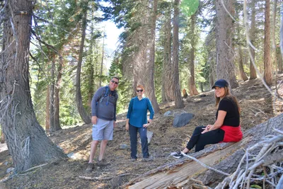 DSC_7826 (Large).JPG